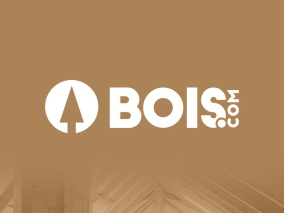 bois.com web design