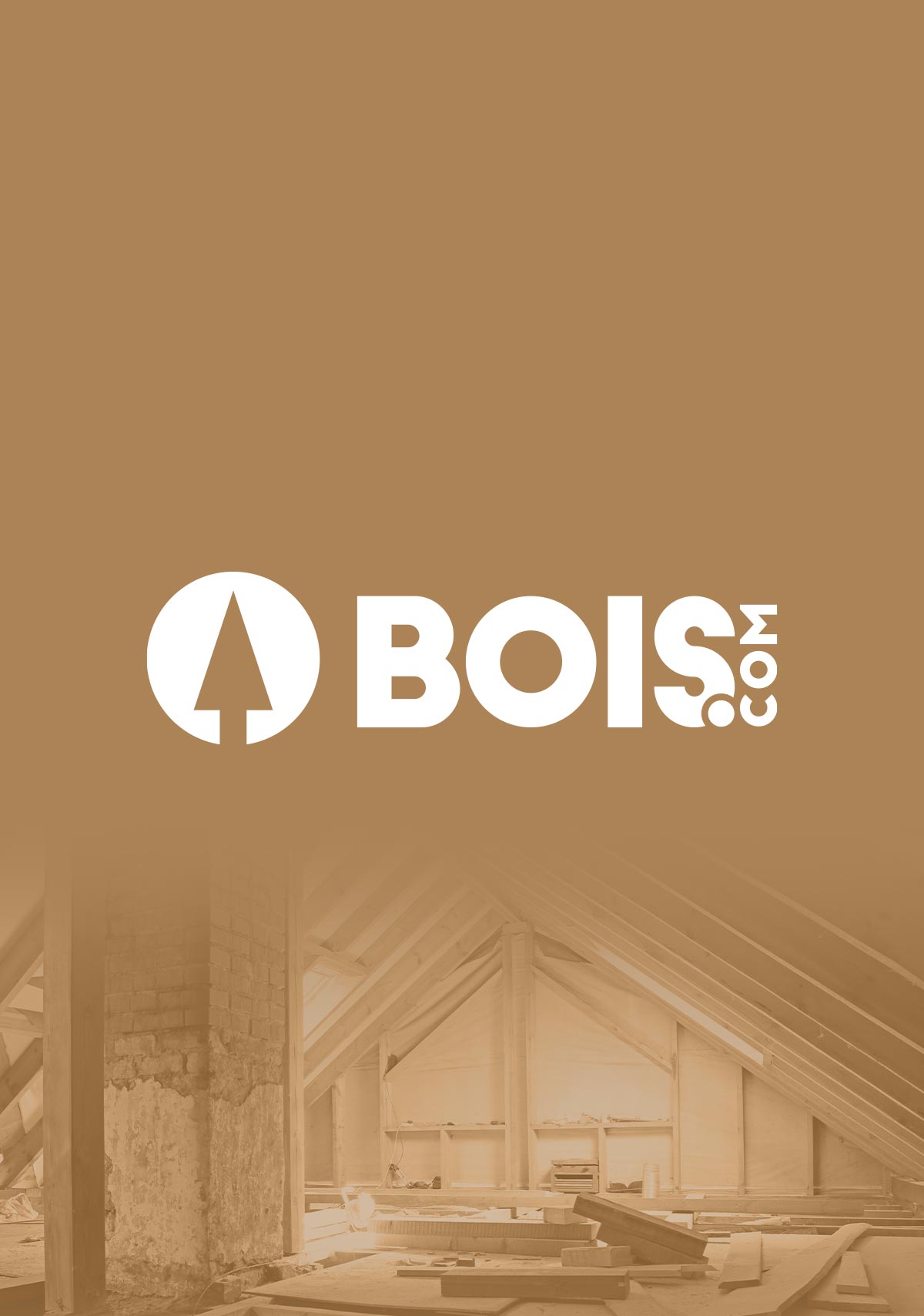 bois.com web design